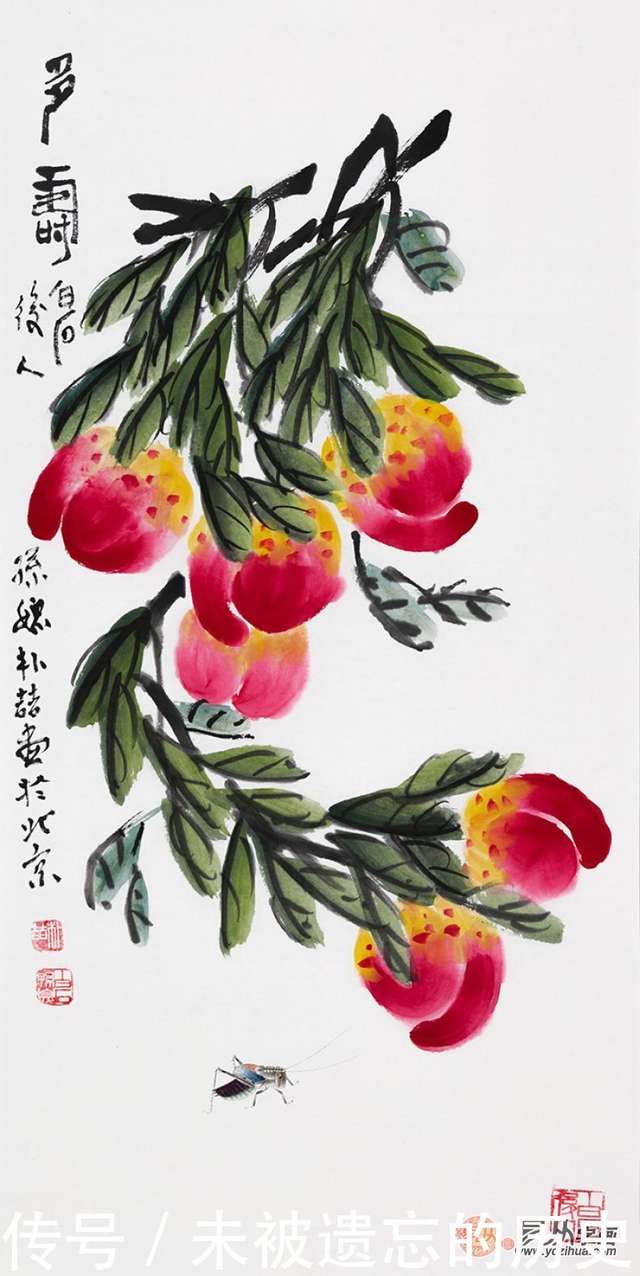 花鸟画赏析：齐白石后人作品写意寿桃国画- 快资讯