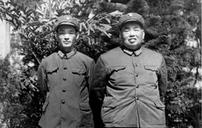 对越自卫战结束后，为什么杨得志升任总参谋长，而许世友离开军界