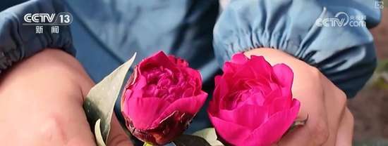 开启买买买的模式文案