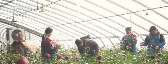 开启买买买的模式文案