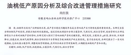 油桃糖尿病人可以吃吗