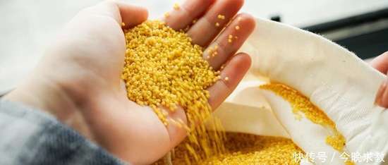 老人主食吃什么容易消化又有营养