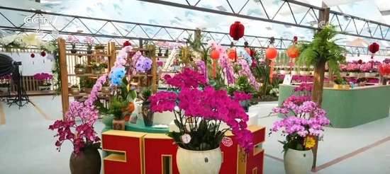 各地消费市场显现活力