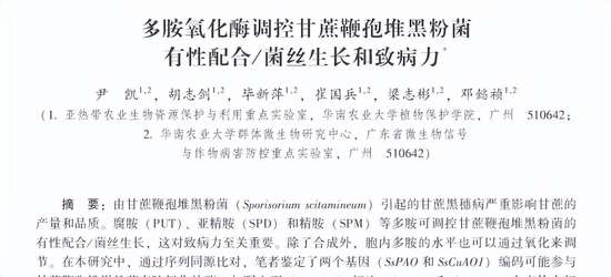 甘蔗长得慢是什么原因