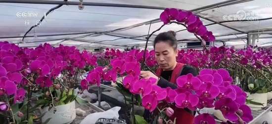 各地消费市场显现活力