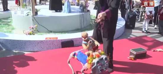 舌尖上的美食灵魂上的享受