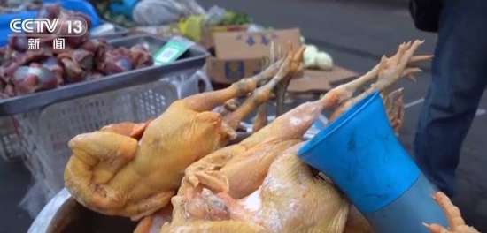 冰糖葫芦同城用户