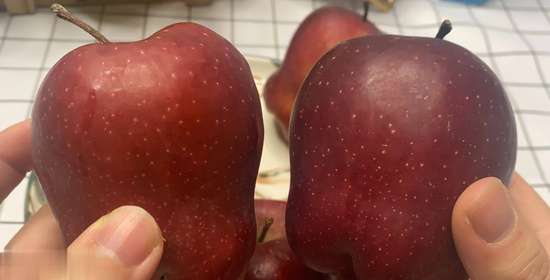 宝子别偷吃后续