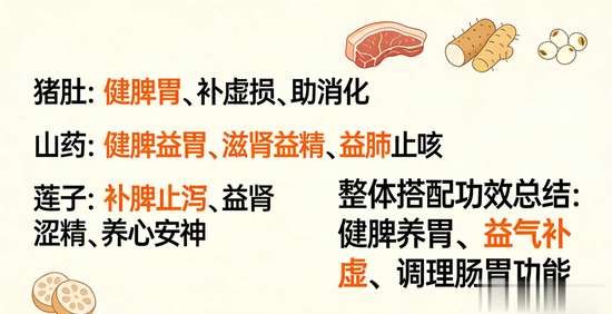 除了小米粥养胃还有什么养胃