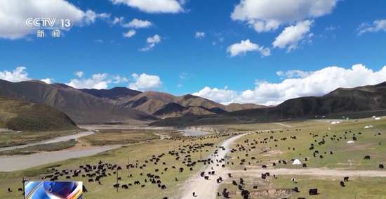 熬饭里面配什么最好