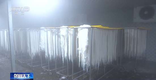 熬饭里面配什么最好