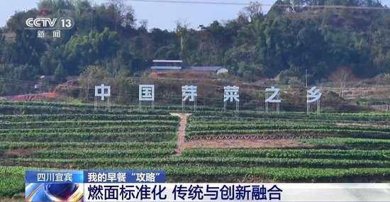 麻辣鲜香一碗地道重庆小面