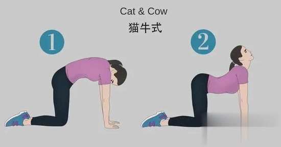 不伤腰的健身动作