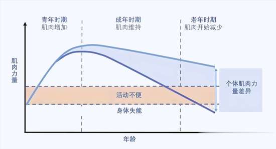减脂后脸垮了怎么恢复