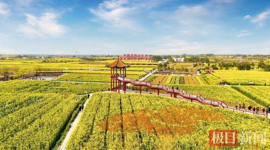 20000元现金大奖等你来拿