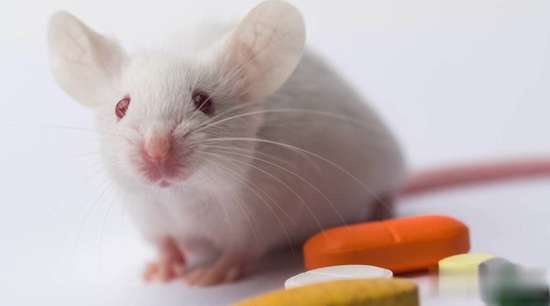 针灸有效性的证明