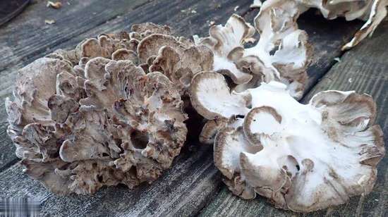 年龄越大越要吃肉