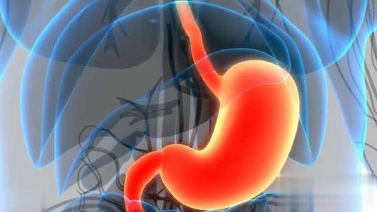 得了胃病忌口的食物