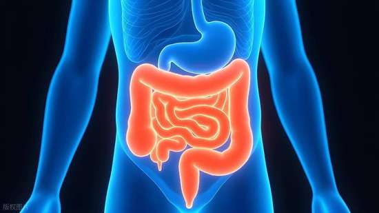 五更泻与肠易激的区别