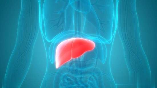 早餐为什么不建议吃面包