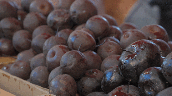 黑龙江的冬天有多冻