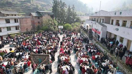 返乡创业青年散养猪