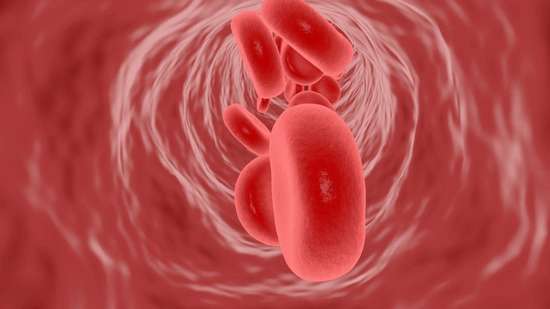 鸡蛋会引起血管堵塞吗