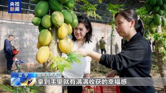 天南地北的年货