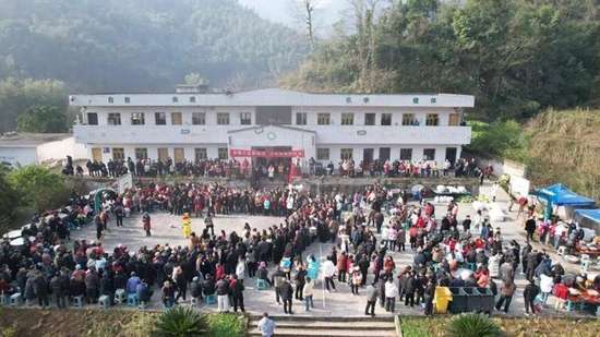 返乡创业青年散养猪