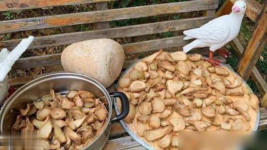 冬天这菜再贵也要买每周吃两次