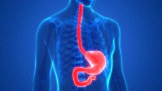 饭后半小时的养胃方法