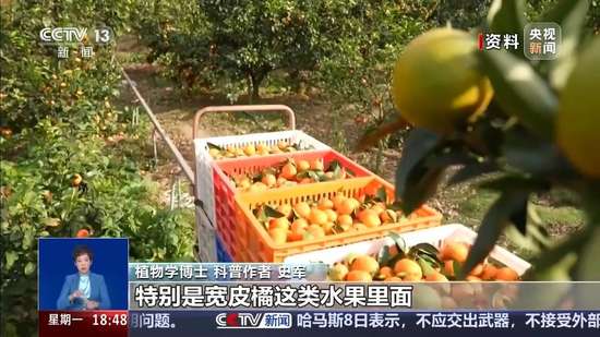 耙耙柑跟粑粑柑有什么区别