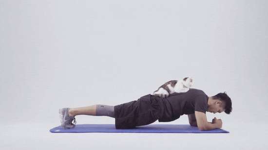 徒手健身黄金动作