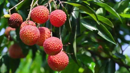 糖尿病不能吃花生吗