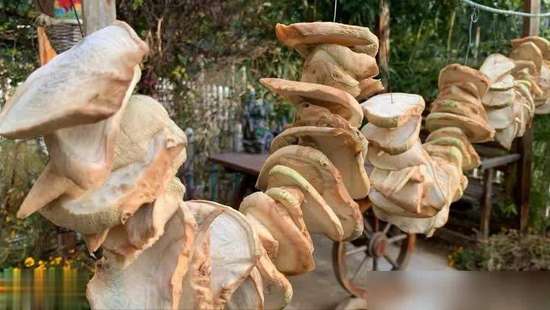 冬天这菜再贵也要买每周吃两次