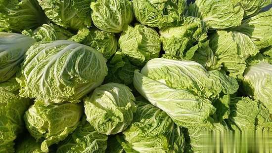 白菜馅和什么搭配好吃