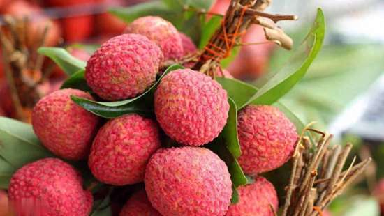 医生提醒少吃荔枝