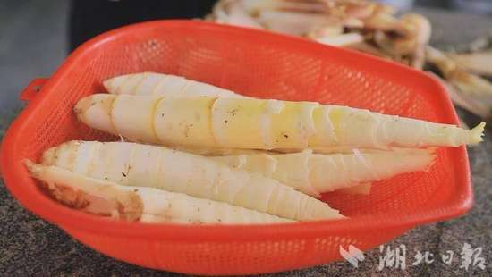 崇阳雷笋特新鲜