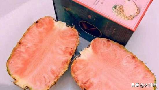 800元一颗的粉菠萝