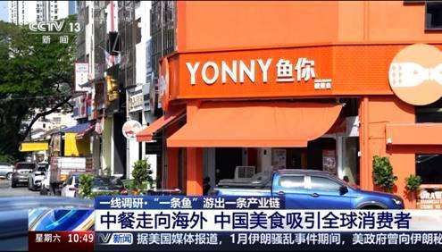 一条鱼投资价值