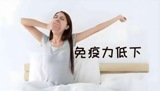 早上这个时间起床比熬夜更可怕