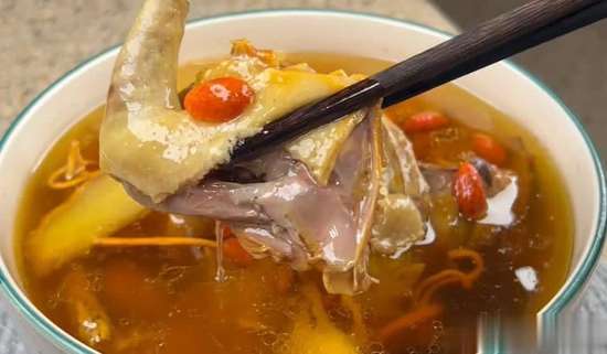 秋冬最滋补的三种鸽子汤