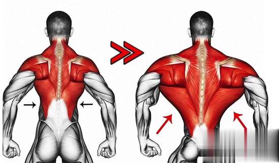 国家举重队练背