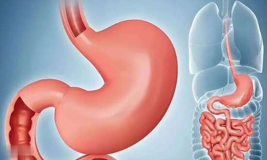 山药久服轻身延年