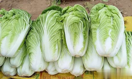 白菜馅和什么搭配好吃