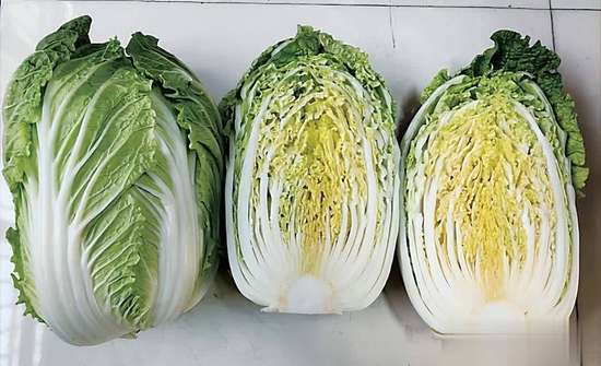 白菜馅和什么搭配好吃