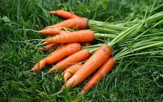 胆固醇高受前一天饮食影响吗