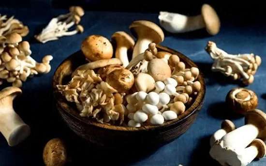 肺部不好要多吃这4种食物