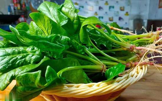 西红柿不能随便吃