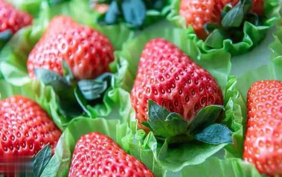 专家建议吃中药如何保护肝脏